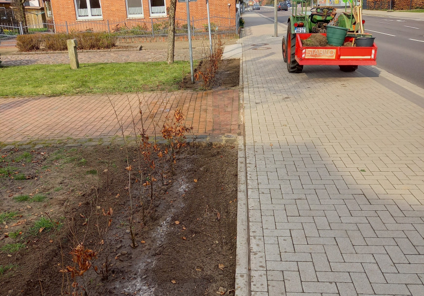 Pflanzaktion entlang der Bundesstraße